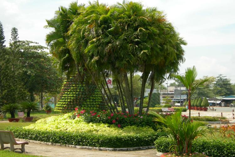Thi công cây xanh - Cây Xanh Sơn Hà - Doanh Nghiệp TN Cây Xanh Trang Trí Sơn Hà Việt Nam